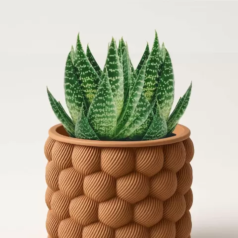 Bubble Planter, Sphere Pattern Plant Pot - Woow Concept 3D