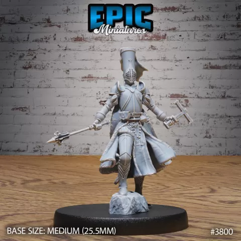 New World Cleric Female Pray / Human Priest / Magical Warrior / Divine Magic Healer / Mysterious Encounter by Epic-Miniatures