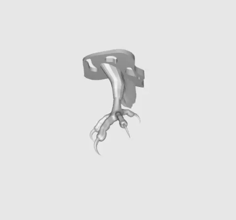 Eagle Claw