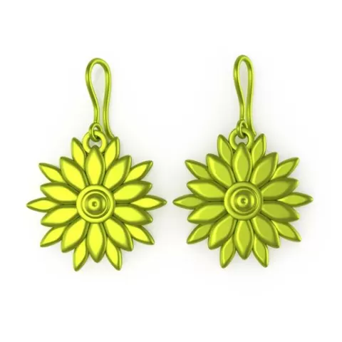 AC-EARRING-117