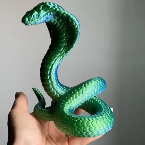 Snake Cobra