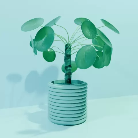 beautiful planter "rings" - Dcubex studio