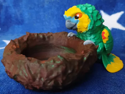 Amazon Nest Bowl - Arara