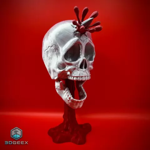 Headshot - 3DGeex