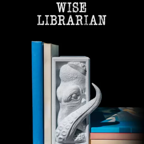Wise Librarian by Stlflix