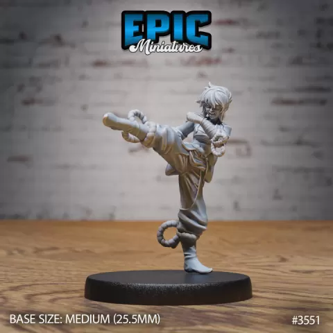 Monk Female Player Character Kick / Priest / Human Warrior / Ninja Fighter / Kung Fu Master / Iron Fist Encounter by Epic-Miniatures