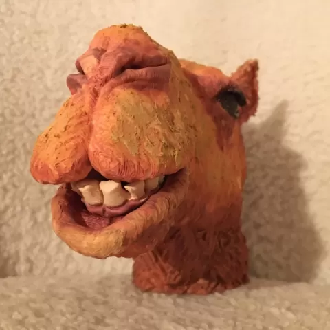 Camel Head by David