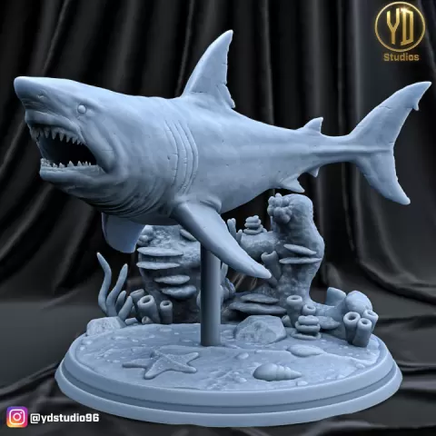 GREAT WHITE SHARK by YD STUDIO
