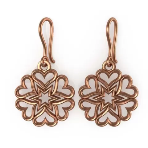 AC-EARRING-113