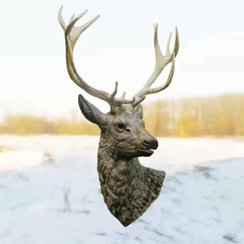 Deer Head