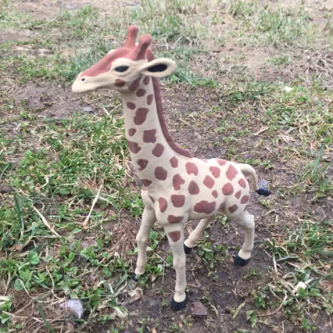 Giraffe by Star Labs 3D, LLC