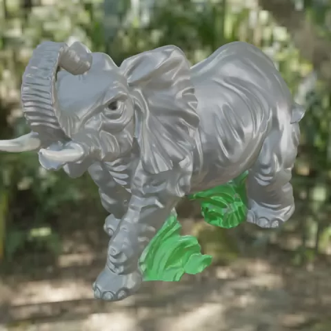 Elephant by anthony