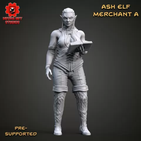 Ash Elf Merchant A by MechaNet Studios