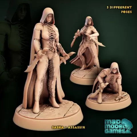 Female Assassin - Sasha - Bundle, DND character, thief, rogue, fantasy miniature, sexy girl mini, 28mm and 32mm scale