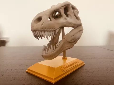 T-Rex Skull