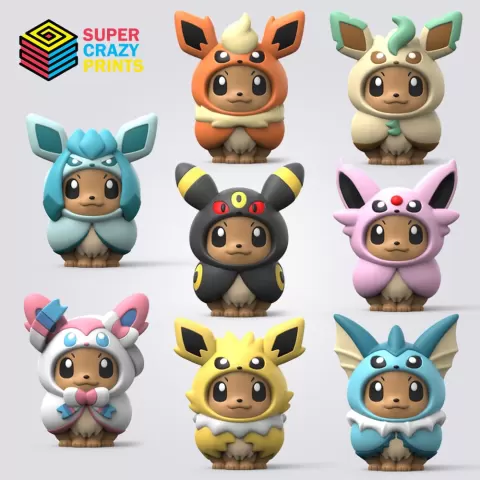 Poncho Eevee Set