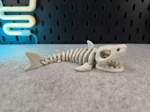 Articulated Skeleton Shark