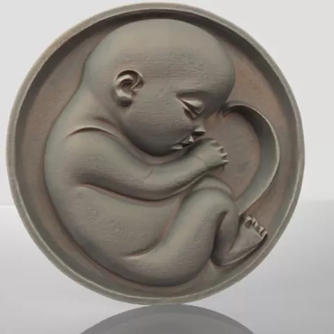 Fetus Decor -1