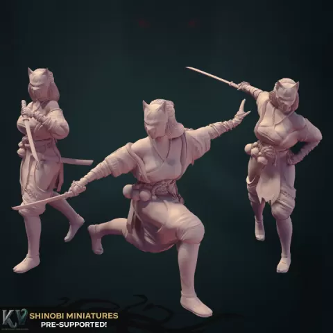 Shinobi Bundle by Kraken's Vault
