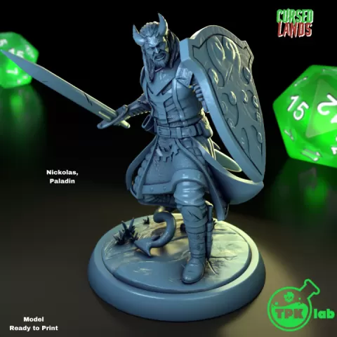 Nickolas, Tiefling Paladin by TPK Lab