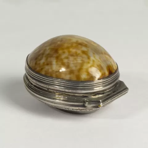 Shell Snuffbox by The Hunt Museum