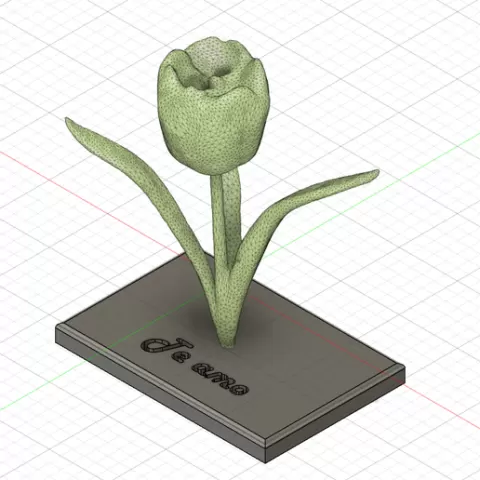 Tulip