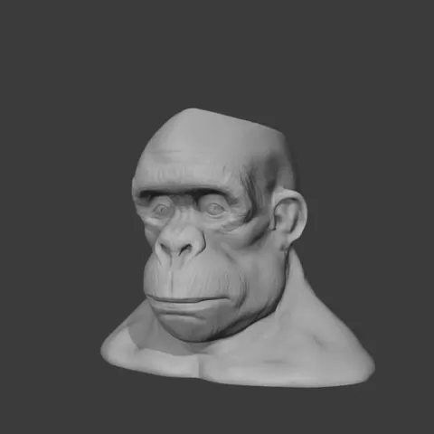 Gorilla Planter