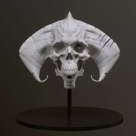 Styr skull