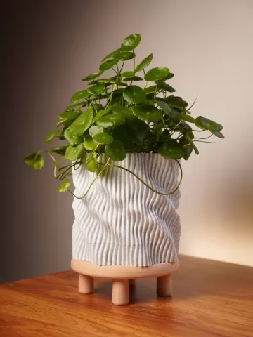 Swirl Planter