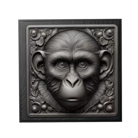 Monkey Animal Relief