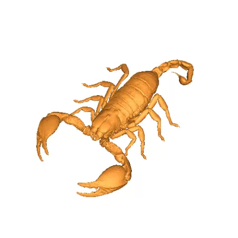 Scorpion - Enoderr