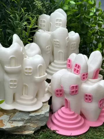 Tooth Fairy House