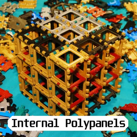Internal Polypanels by Brien Allison