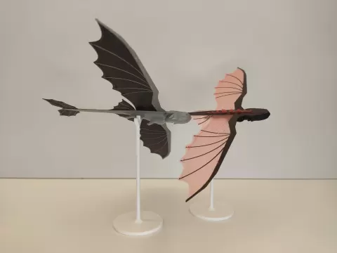Flying Night Dragon