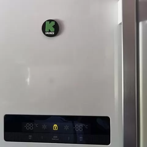 Kick Sauber Fridge Magnet
