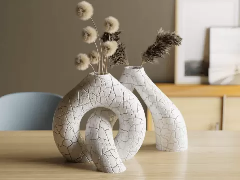 Interlocking Toroidal Vases: Cracked version