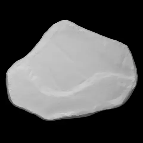Poplar leaves fossil by Yaratilis Muzesi - Museum of Creation