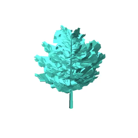 Baum