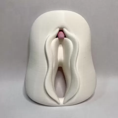 Clitoris anatomy - Ozvald-3D