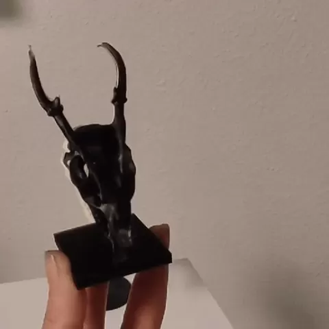 Muntjak skull (original scan)