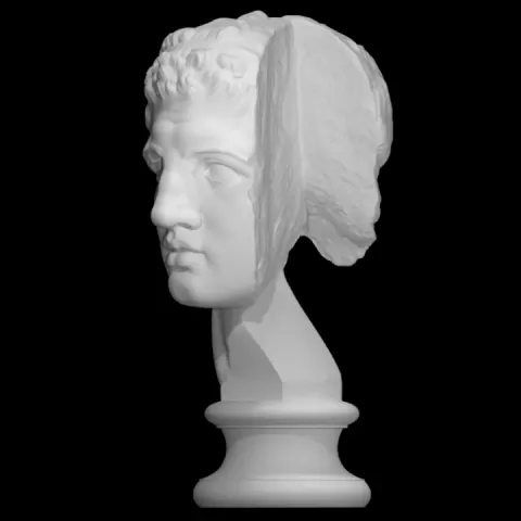 Fragmentary head of Hercules (from the Lansdowne Herakles) by SMK - Statens Museum for Kunst