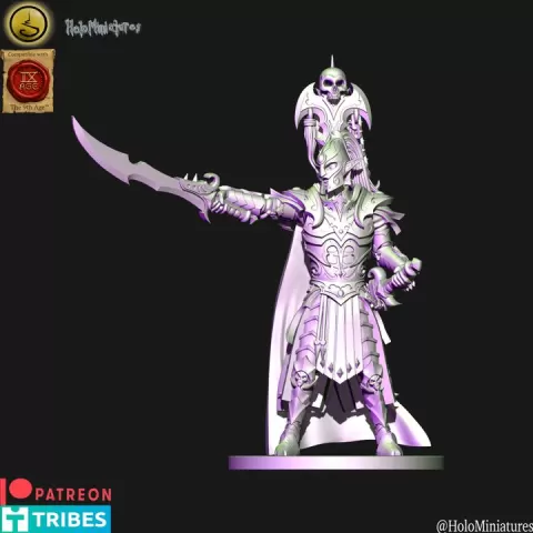 Dark elves Lord with two hand weapons by HoloMiniatures
