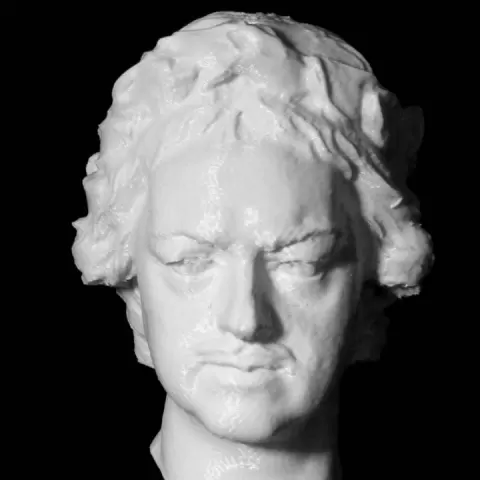 Head of Peter I at The State Russian Museum, St Petersburg by Scan The World