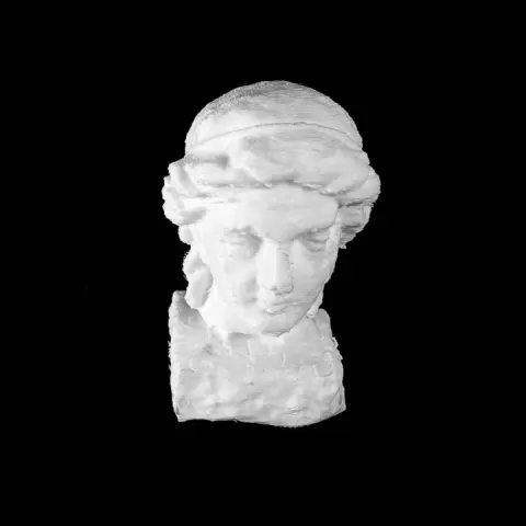 Woman's Head at The State Hermitage Museum, St Petersburg by Scan The World