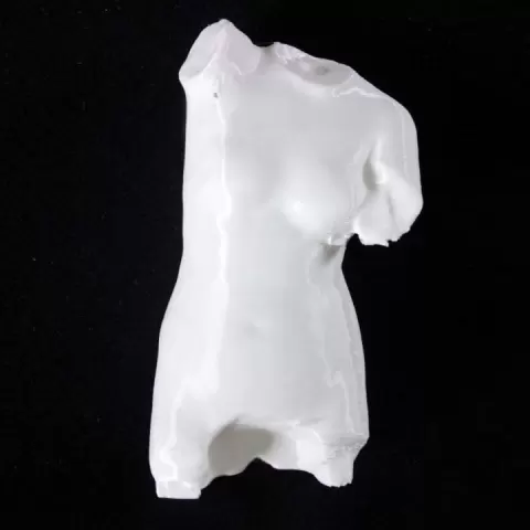 Venus Anadyomene Fragment at The Musée des Beaux-Arts, Lyon by Scan The World
