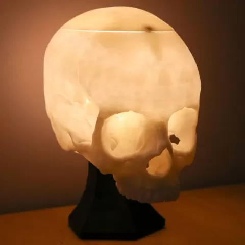 Awesome Skull Lamp! by 3D Central