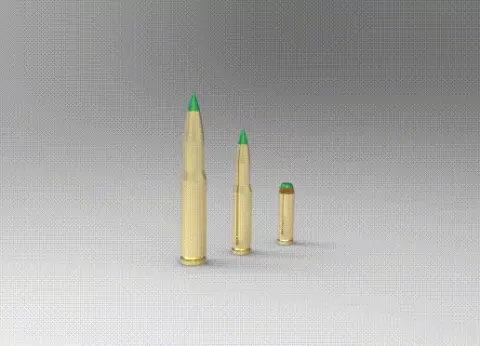 Ballistic Tip Bullets (3 Pcs)