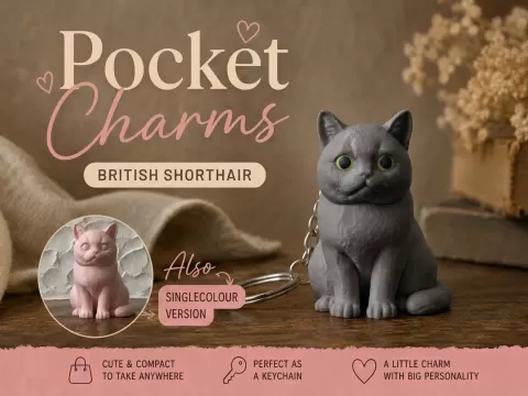British Shorthair Keychain Pocket Charms