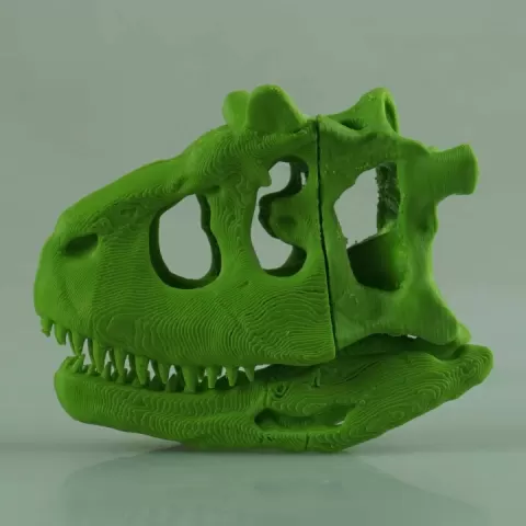 Carnotaurus Skull by Jim Becerra
