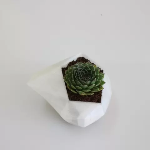 FLOWER POT by BEEVERYCREATIVE
